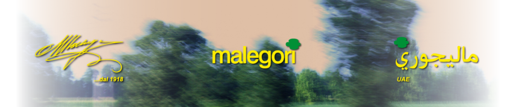 RIDURRE LA SPESA PER LA TELEFONIA AZIENDALE DI MALEGORI